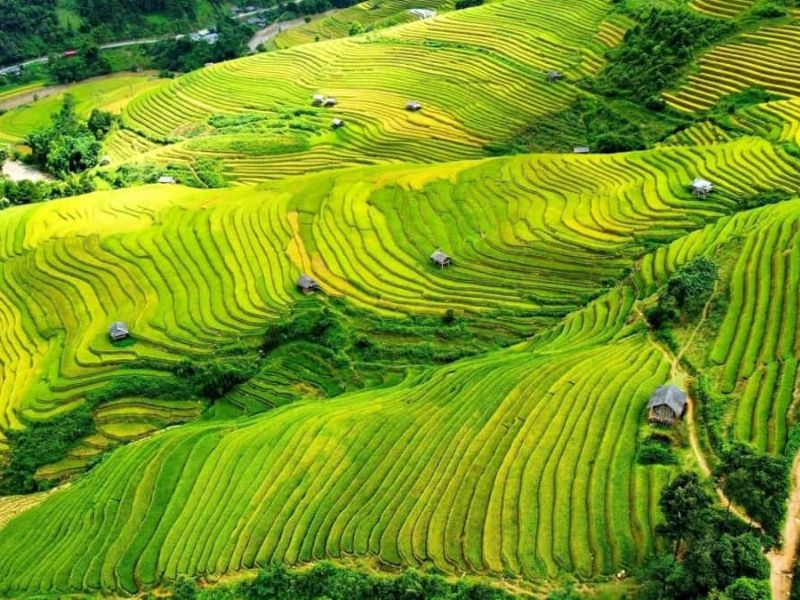 Nghĩa Lộ đang phát triển mạnh mẽ trong lĩnh vực du lịch và dịch vụ lưu trú, nhờ đó, các công việc liên quan đến du lịch, nhà hàng, khách sạn có nhu cầu tuyển dụng cao