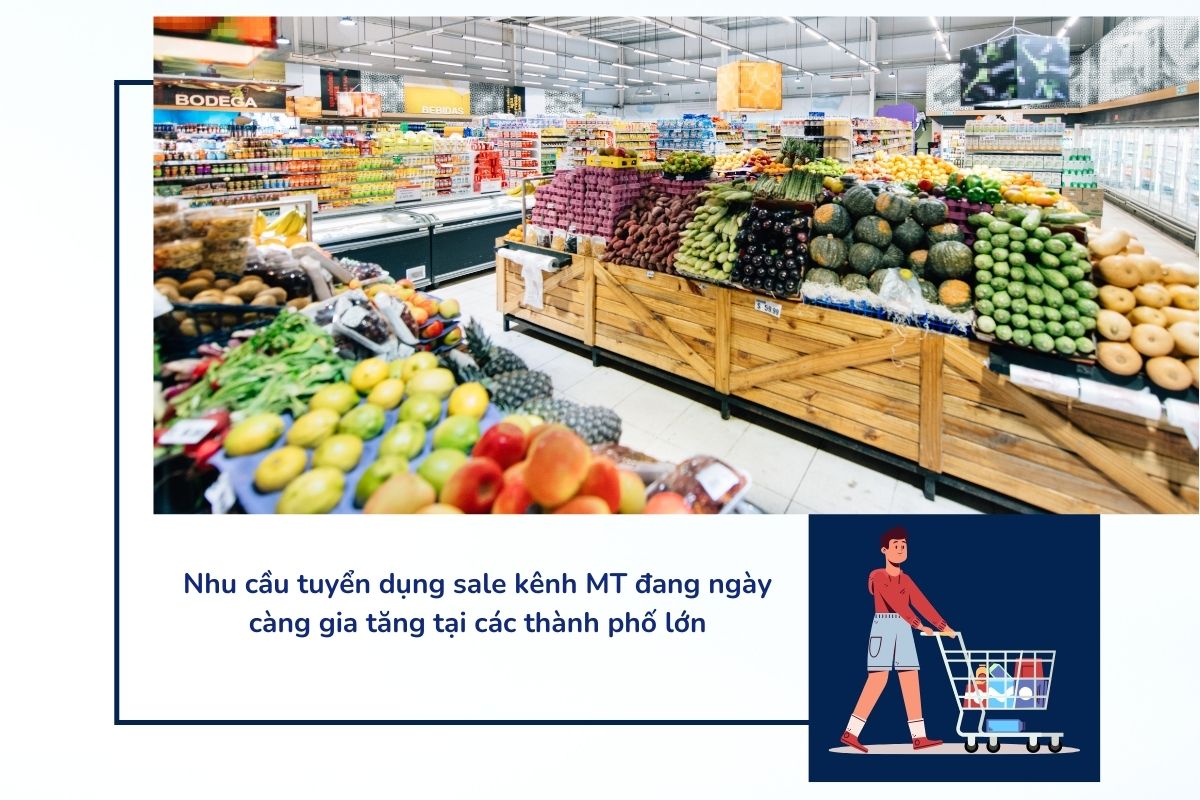 Nhu cầu tuyển dụng sale kênh MT đang ngày càng gia tăng tại các thành phố lớn