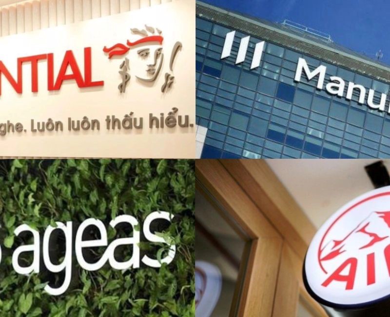 Tìm việc làm bảo hiểm tại các thành phố lớn như TP HCM với nhu cầu tuyển dụng cao