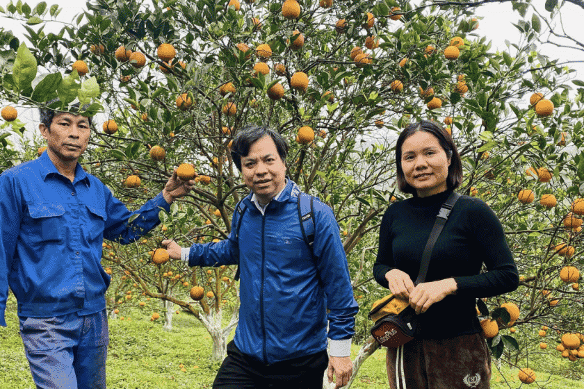 Hòa Bình còn được nhiều người biết đến với cam Cao Phong, đây cũng là nơi có nhu cầu tuyển nhân viên kỹ thuật nông nghiệp