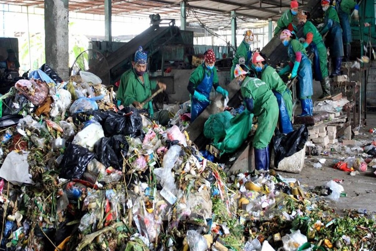 Nhân viên vệ sinh môi trường thực hiện các công việc liên quan đến thu gom và xử lý rác thải, dọn dẹp công cộng