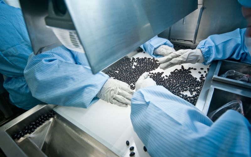 Các doanh nghiệp dược phẩm thường tuyển dụng dược sĩ, kỹ thuật viên sản xuất, nhân viên kiểm soát chất lượng