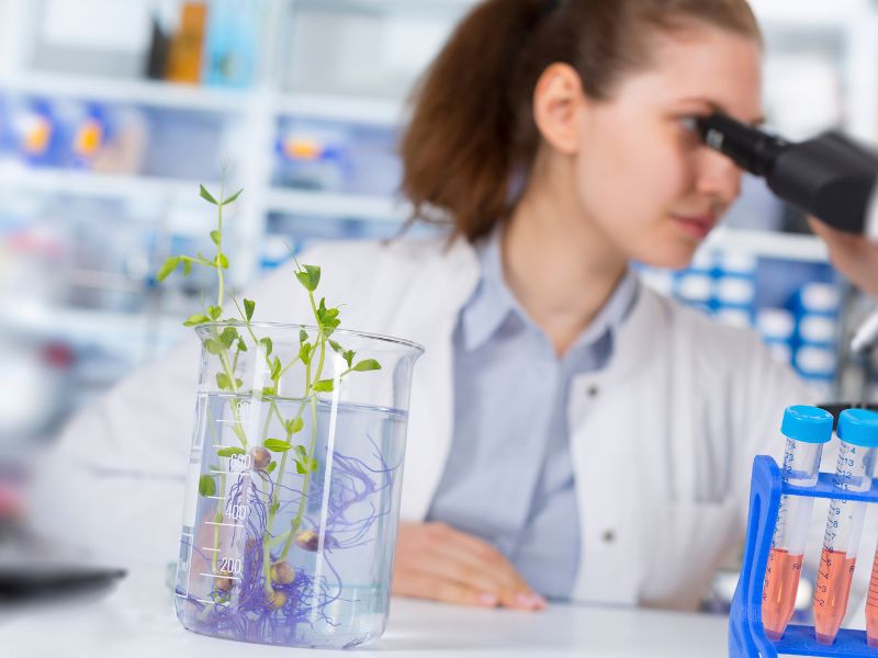 Tuyển dụng nghiên cứu viên sinh học thu hút người lao động đam mê ngành công nghệ sinh học