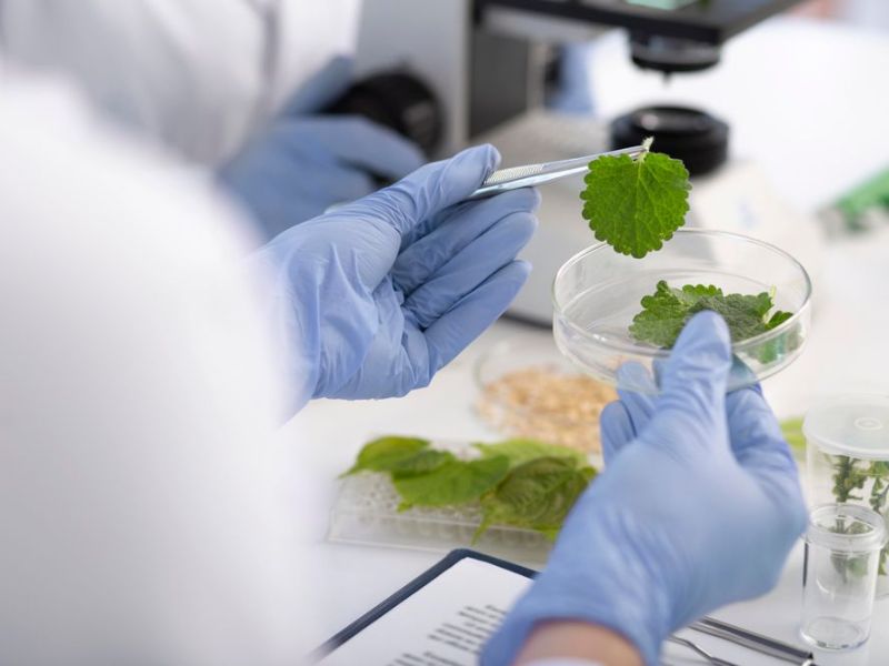 Với sự phát triển của các doanh nghiệp thực phẩm, nhu cầu tuyển dụng nhân viên R&D thực phẩm tại Việt Nam cũng tăng cao