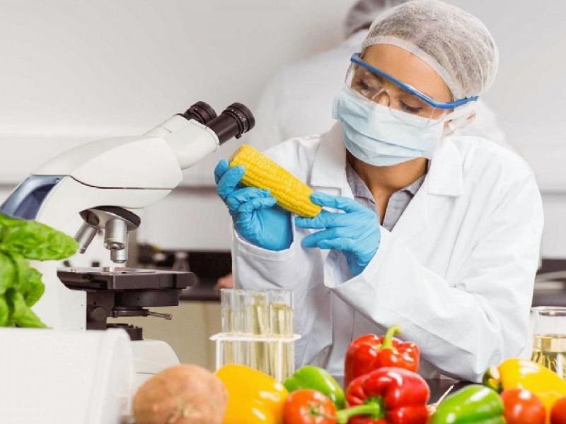 Tuyển dụng R&D thực phẩm tăng cao tại các thành phố lớn