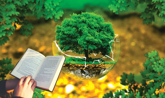 Kiến thức về sinh thái học và môi trường là nền tảng quan trọng trong thiết kế cảnh quan